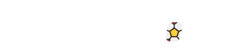 e300